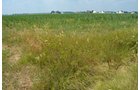 Property photo 23 - 51.5 Acres Offered in 5 tracts, 2 Farm Sites